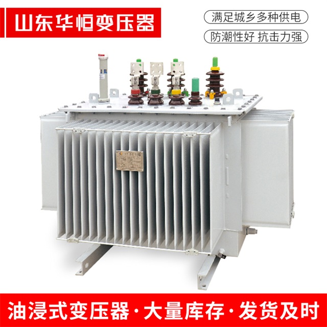 S13-10000/35仪征仪征仪征电力变压器